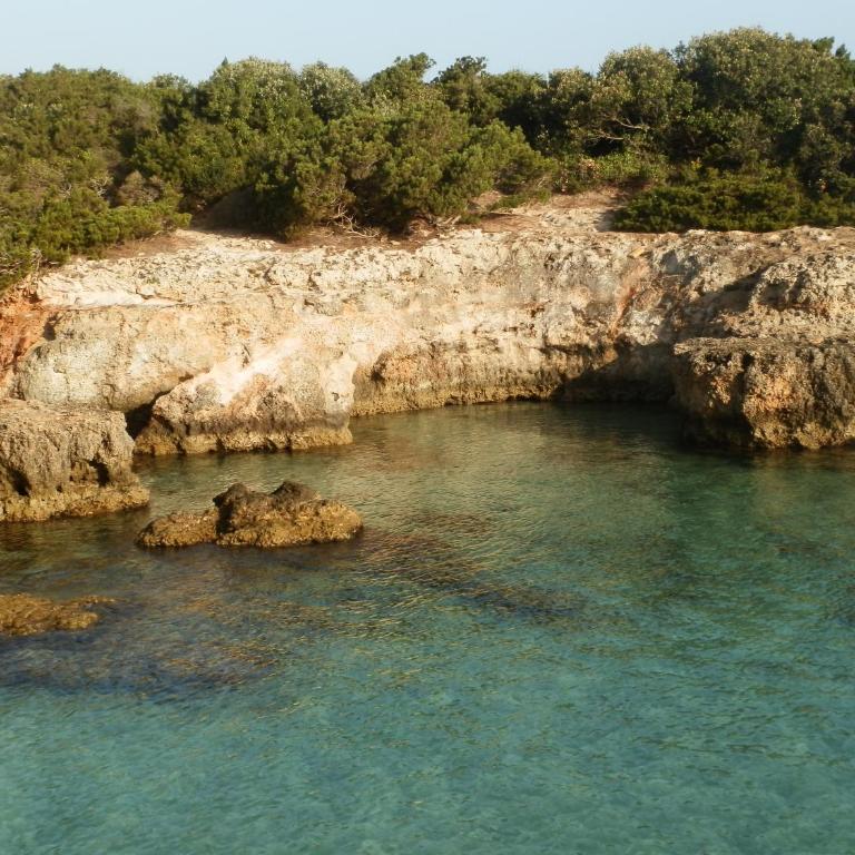 Il Fico d'India dell'Antico orto - Casa Vacanze - 25