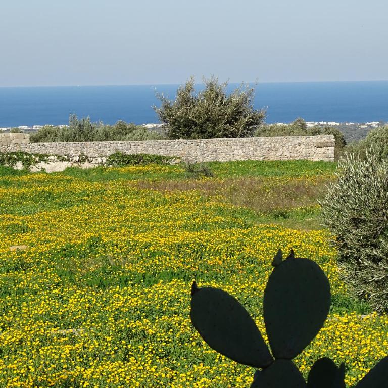 Il Fico d'India dell'Antico orto - Casa Vacanze - 5