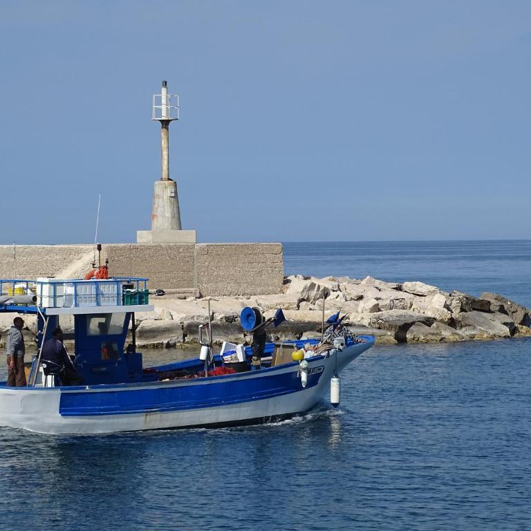 Il Fico d'India dell'Antico orto - Casa Vacanze - 9