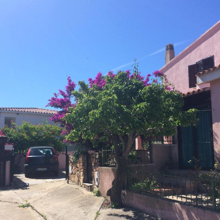 Casa vacanze San Teodoro - Casa con 2 Camere da Letto - 8