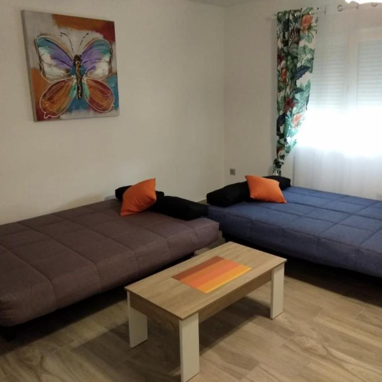 Benejuzar18 - Apartment - 8