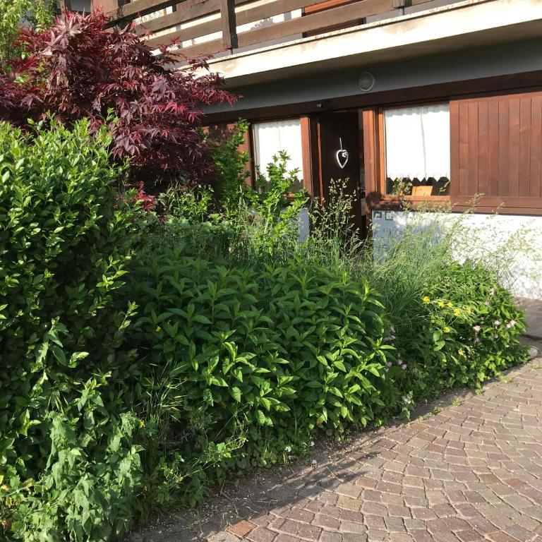 Almida - Apartment - Erdgeschoss - 24