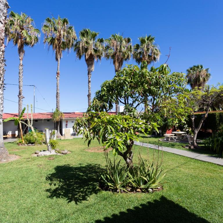 Finca La Gaviota - El Granito - Apartamento con vistas al mar - 18