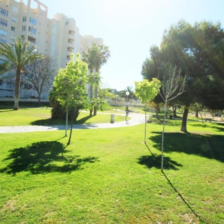 Jardin Del Mar - Apartment - 29