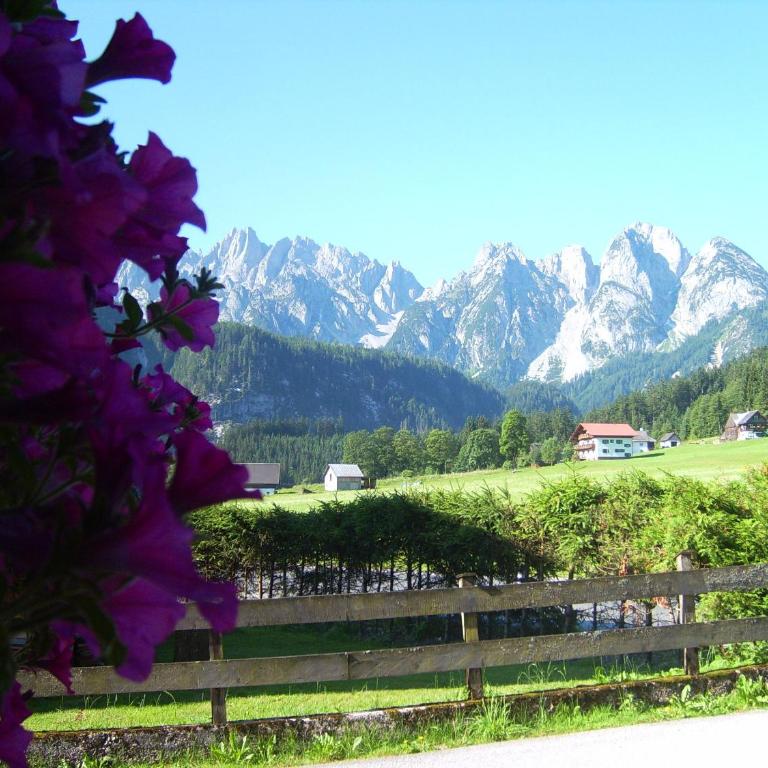 Privatpension Gosaukammblick - Doppelzimmer - 6