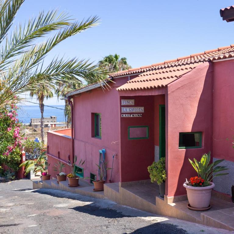 Finca La Gaviota - El Rincon - Apartment with Garden View - 22