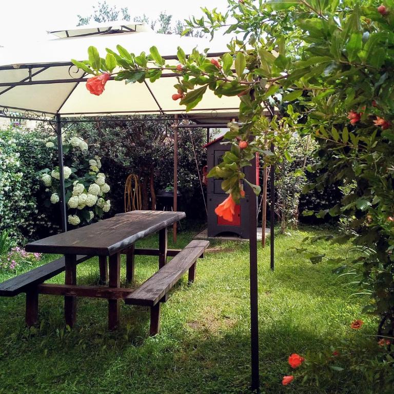 Casa Mirella - Appartamento - Piano Terra - 8