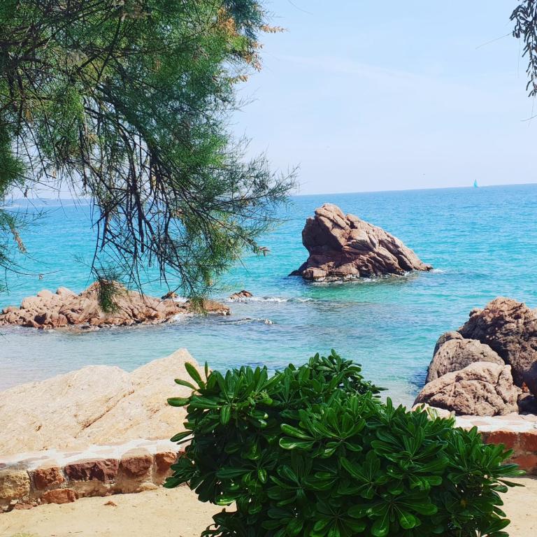 Sea view La Palme d'Azur apartment steps away from the beach and perfect for holidays & business trips - Studio-Apartment mit Meerblick - 26