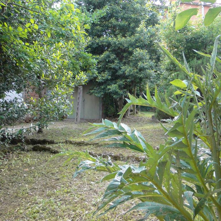 Via del Toppo, 4 - Casa Vacanze - 40