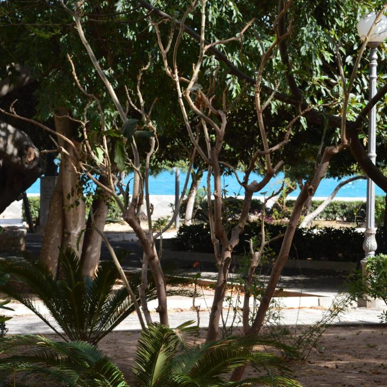 CASA ASIAGO, nel cuore di Pozzallo, pochi passi dalla spiaggia - Casa con 1 Camera da Letto - 41