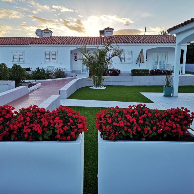 Bungalows Adonis - Suite Bungalow - 15