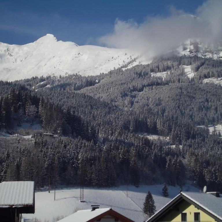 Haus Marina inklusive gratis Eintritt Alpentherme - Apartamento - Planta baja - 15