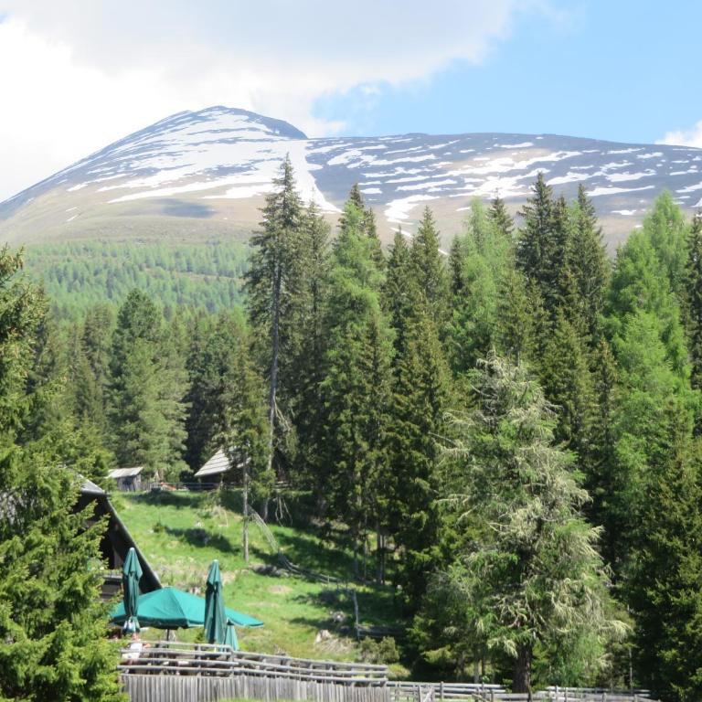 Almhaus Völkl - Chalet - 30