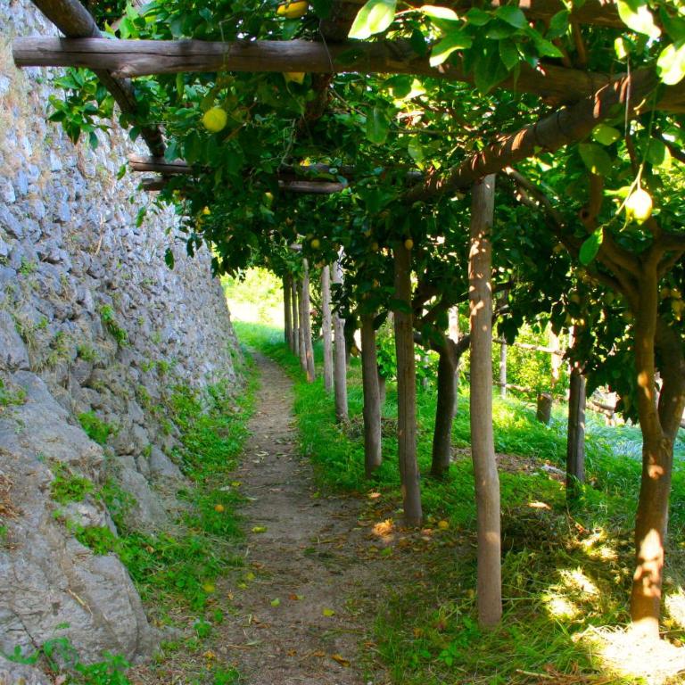 Paradiso amalfi house - Casa Vacanze - 32