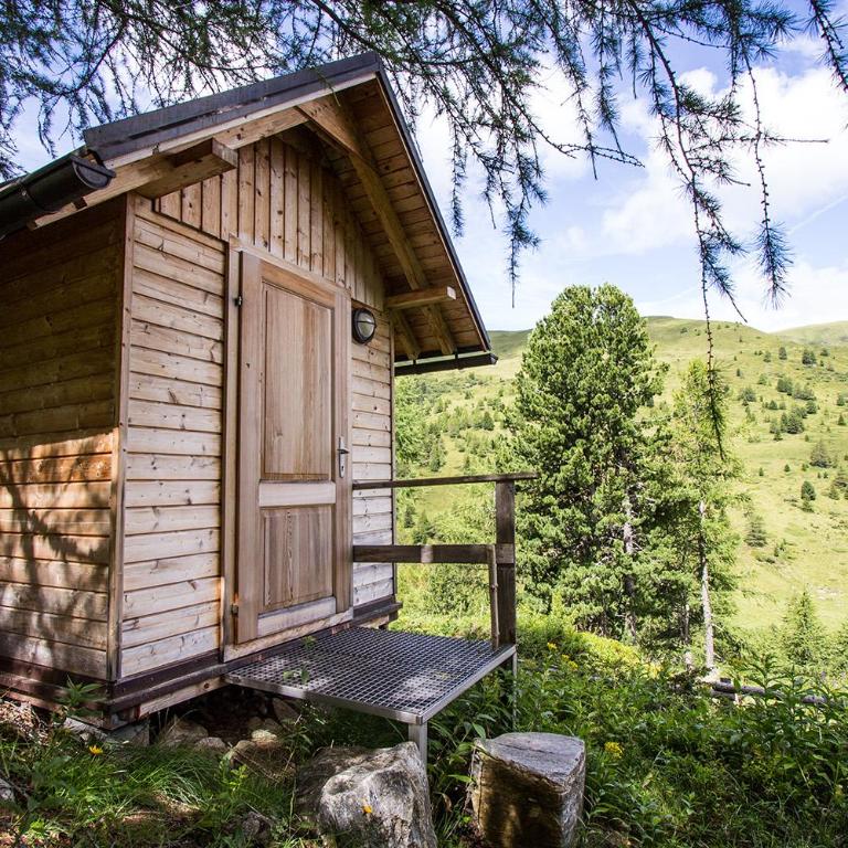 Almhaus Völkl - Chalet - 3