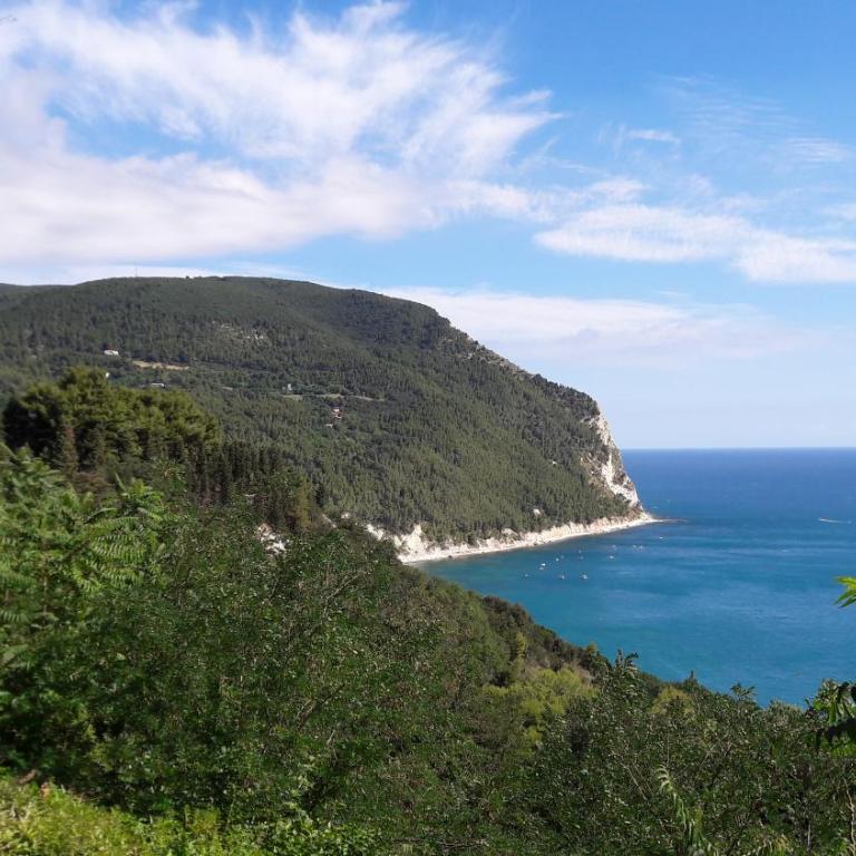 Appartamento mare Sirolo con garage privato - Apartment - 18