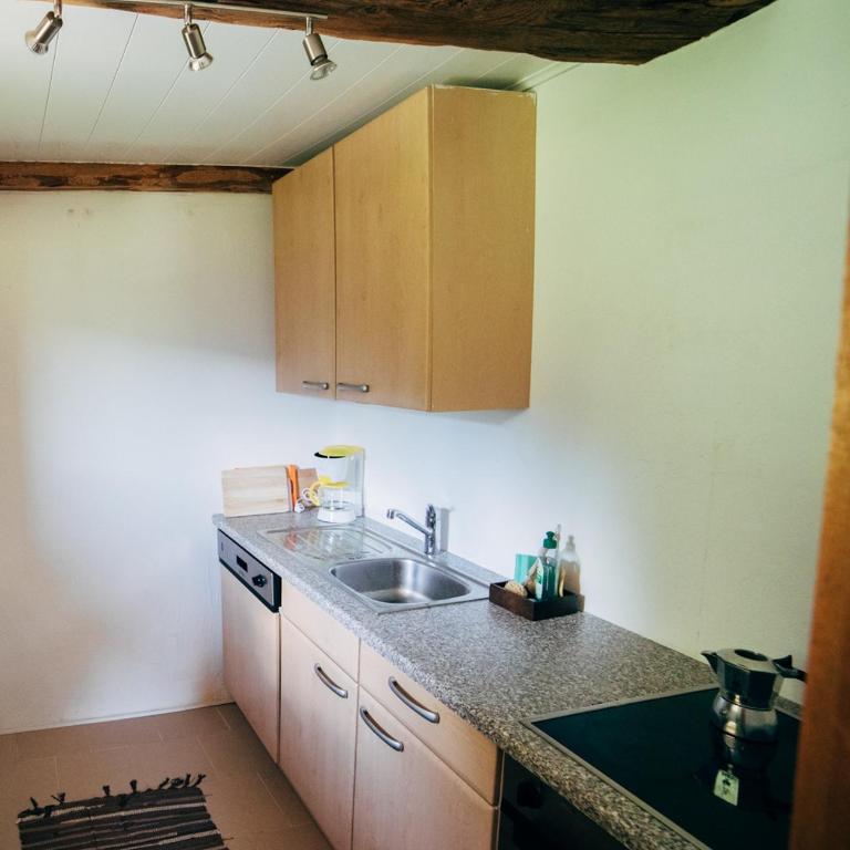 Zauberhuette Wildschoenau - Apartment mit Bergblick - Erdgeschoss - 6