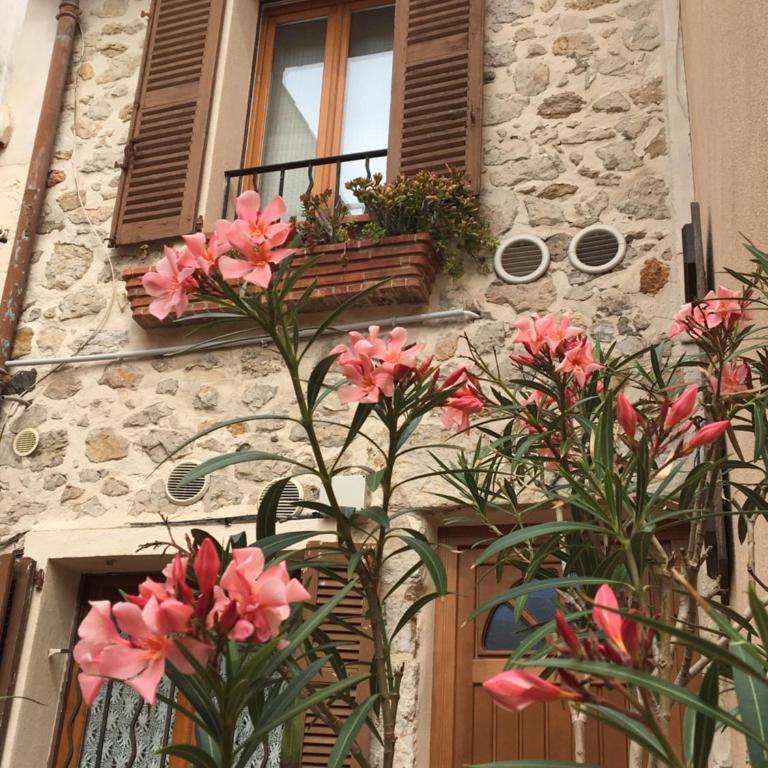 Vieille Ville 2 - La Petite Maison à Safranier, 2 bedrooms, max 4 adults and 2 kids - Maisonnette - 1