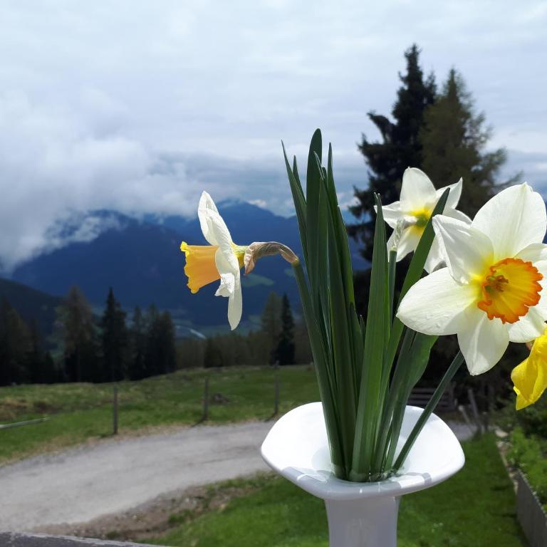 Ferienwohnung DrauSport - Apartment mit Blick auf die Berge - 17