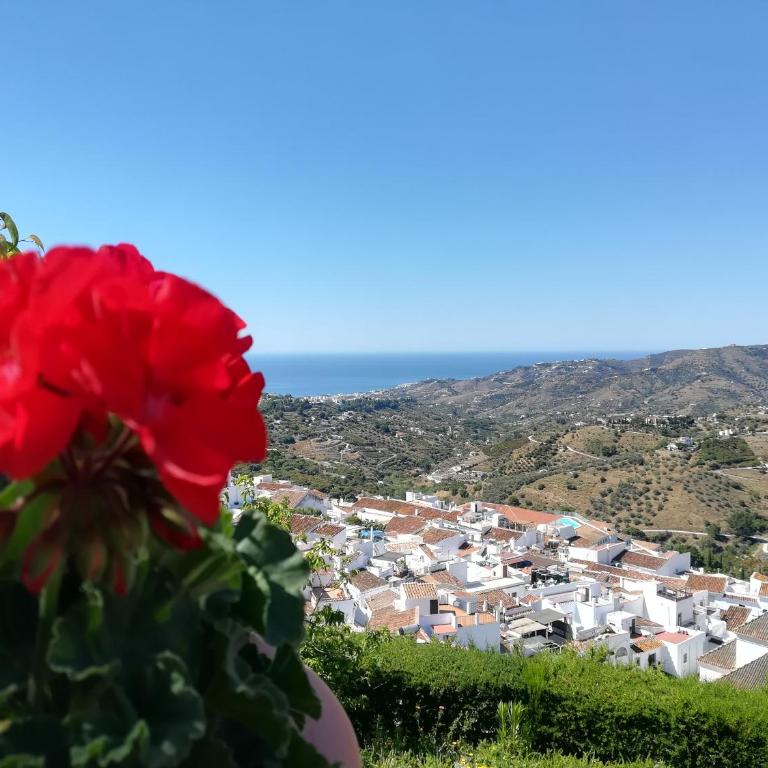 Casa Ana, Fantásticas vistas a Frigiliana, el mar y la montaña - Casa de 2 dormitorios - 49