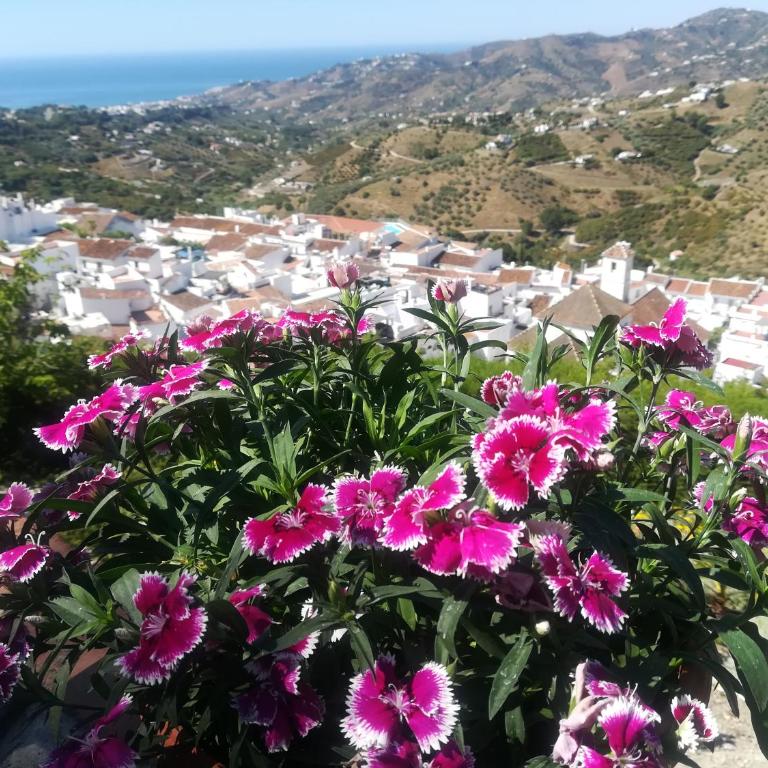 Casa Ana, Fantásticas vistas a Frigiliana, el mar y la montaña - Casa de 2 dormitorios - 25