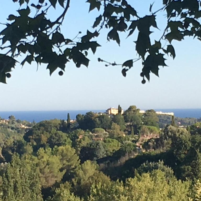 Villa Mimosa - Villa - Vue sur Mer - 49