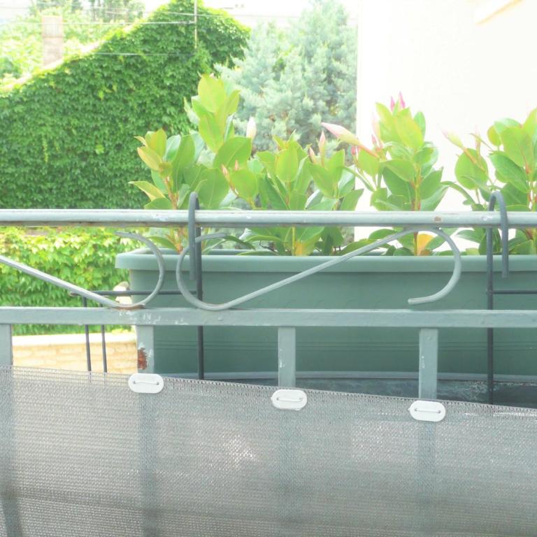 Studio Malpeigné - Studio with Balcony - 21