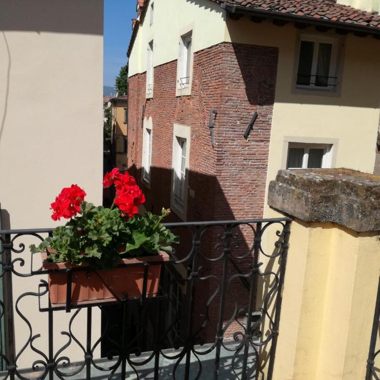 Pietrarosa Apartment - Appartamento con Terrazza - 14