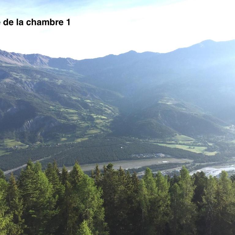 Appartement T4 esprit chalet jolie vue PRA LOUP 1600 - Appartement - 29