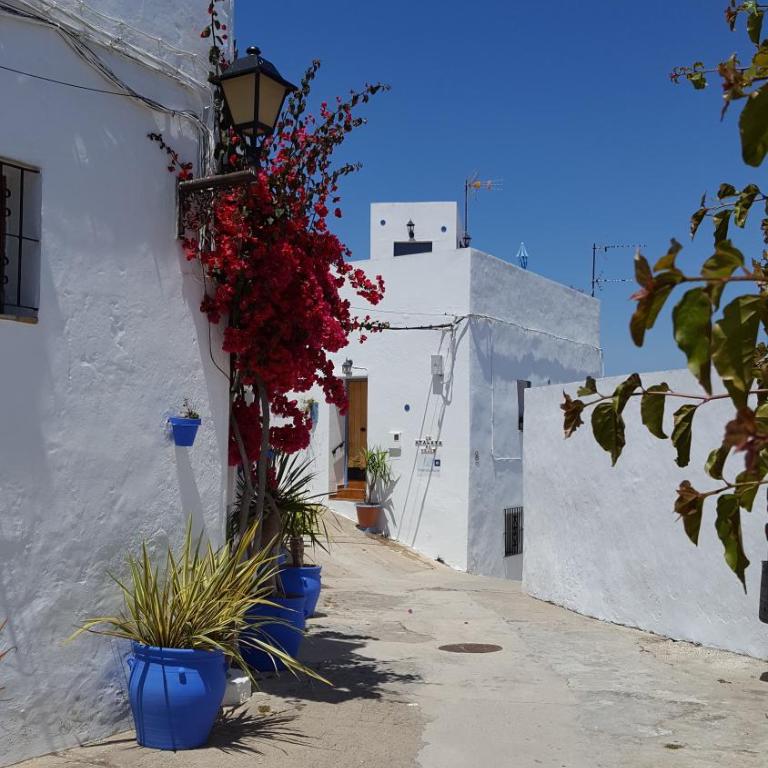 Holiday home La Atalaya de Vejer - Casa con 1 dormitorio - 4