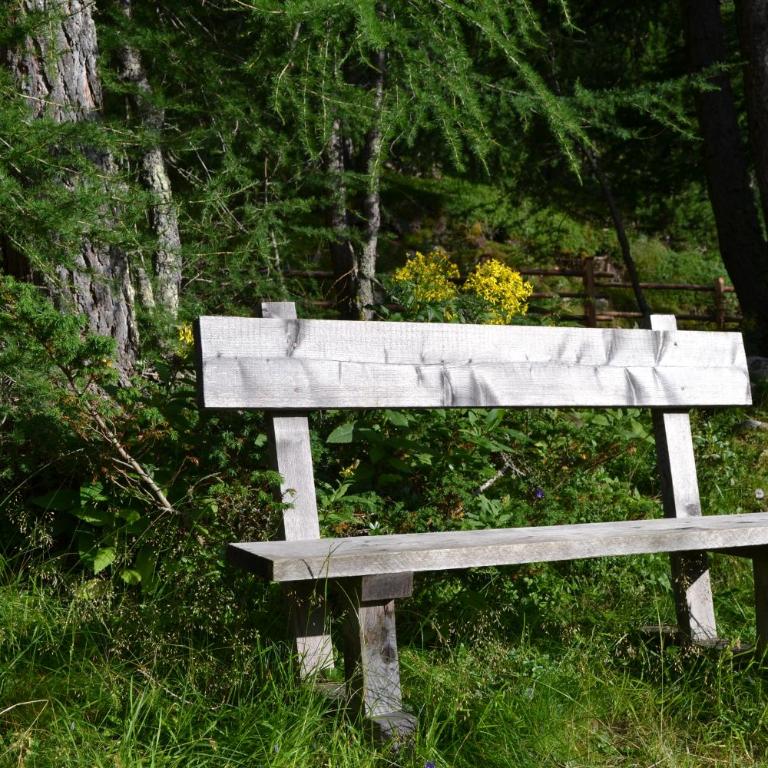 Almhaus Völkl - Chalet - 32