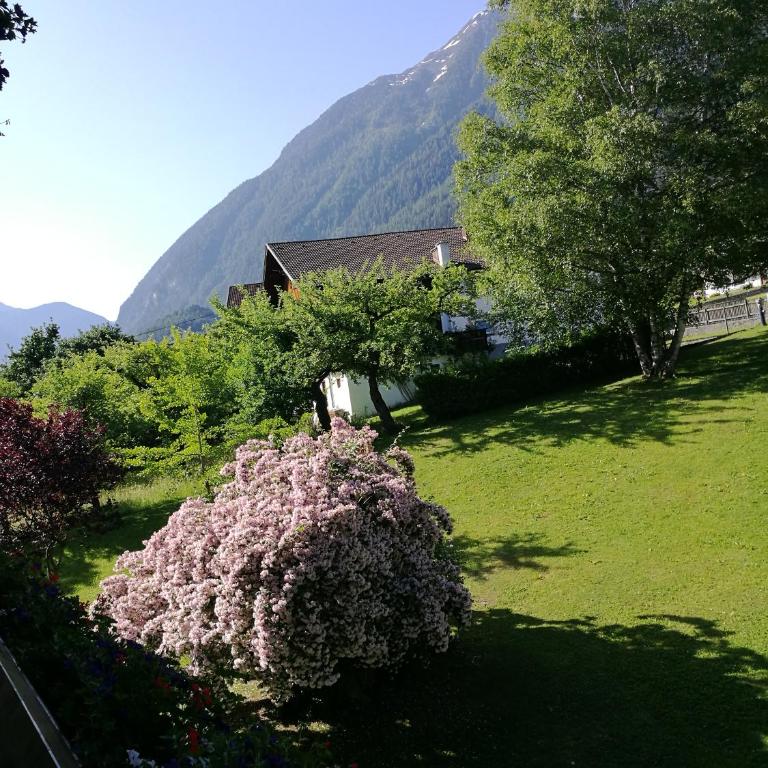 Gästepension Wiesenheim - Vierbettzimmer mit Balkon - 2