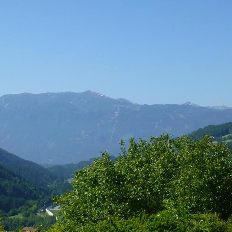 Ferienwohnungen Simonbauer - Apartment mit Blick auf die Berge - 2