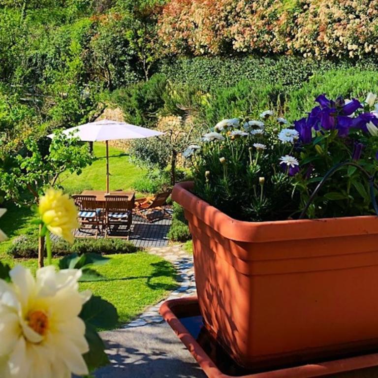 Casa Del Cavaliere - One-Bedroom Apartment with Garden (2 Adults) - 21