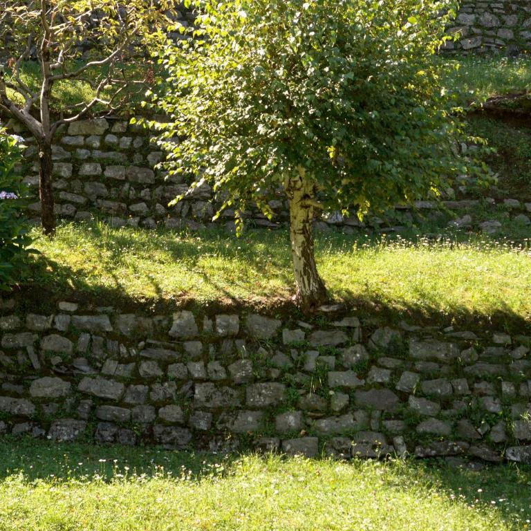 Villa Poletti - Superior Villa - 58