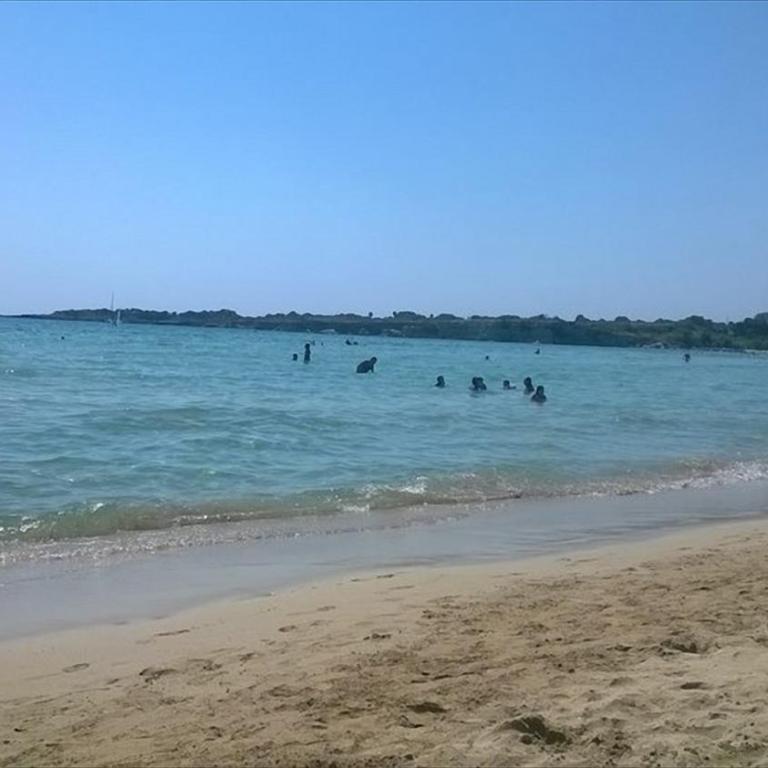 Appartamenti In Villa Polluce a 2 min dal mare WiFi e parcheggio - Appartamento con Vista Mare - 37