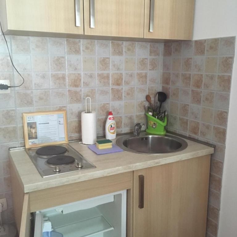 Apartments Zvicer - Milica - Apartman sa 1 Spavaćom Sobom - 10