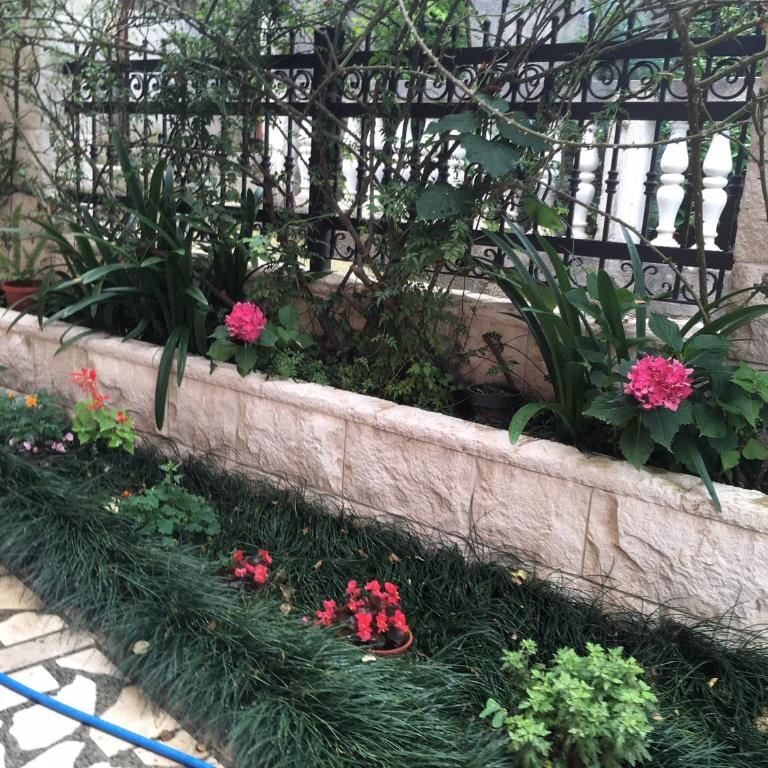 Apartments Zvicer - Milica - One-Bedroom Apartment - 8