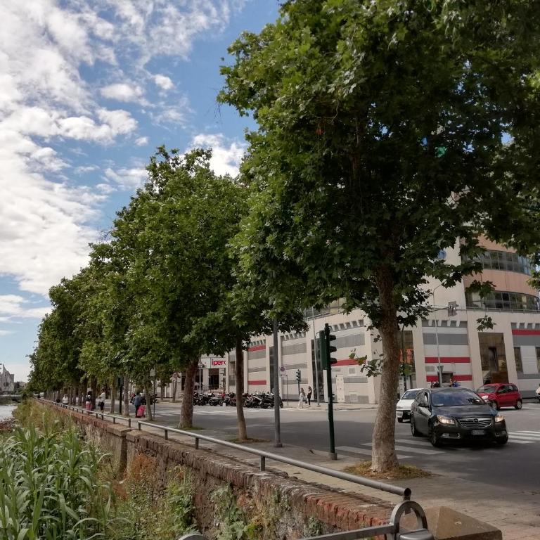 Appartamento indipendente a due passi dal centro - Appartamento - Piano Terra - 27