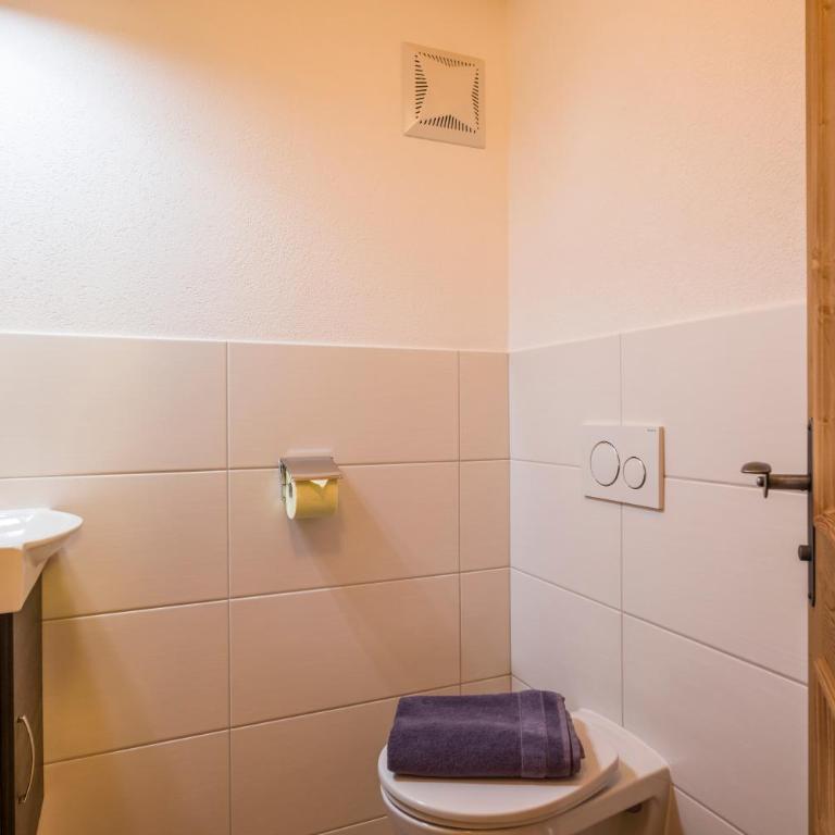 Appartement Reischerhof - Apartamento - 9