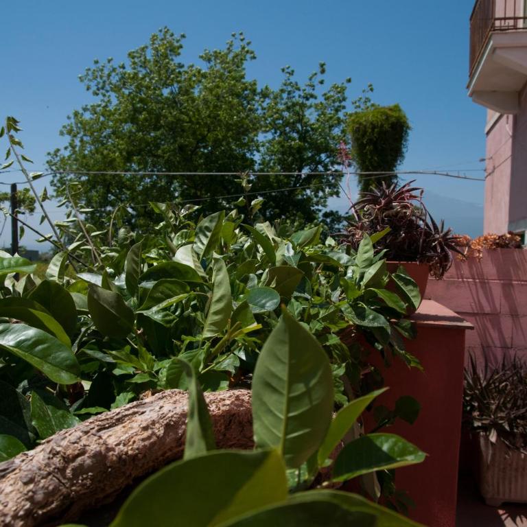 I Giardini di Naxos - Ferienhaus - 2