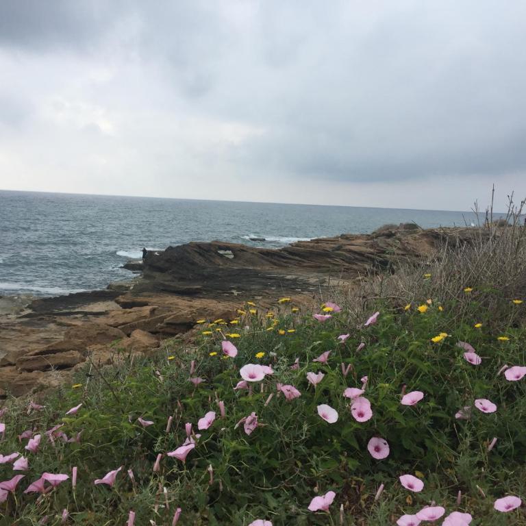 Seafront Dream Apartment - Apartamento con vistas al mar - 46