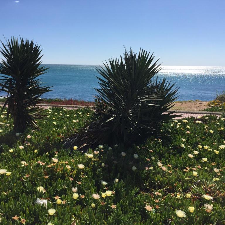 Seafront Dream Apartment - Apartamento con vistas al mar - 42