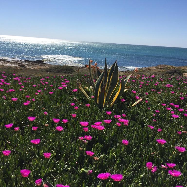 Seafront Dream Apartment - Apartamento con vistas al mar - 43
