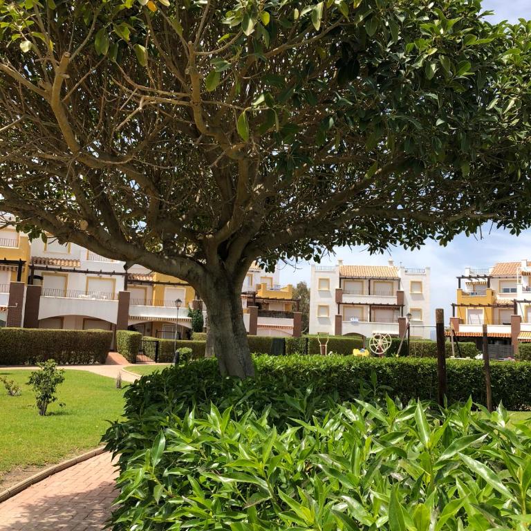 Apartamento El Mirador de Vera playa - Apartamento - 27