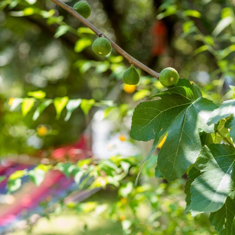 City View Apartment - Two-Bedroom Apartment - 4