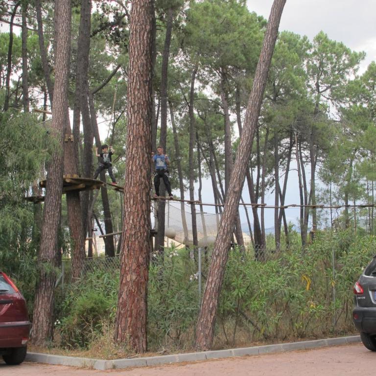 Apartamento en Los Patios de Santa Maria Golf - Apartamento - 86