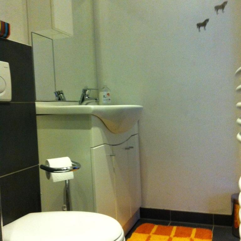 Reitbauernhof Schartner - Appartement avec Douche - 9