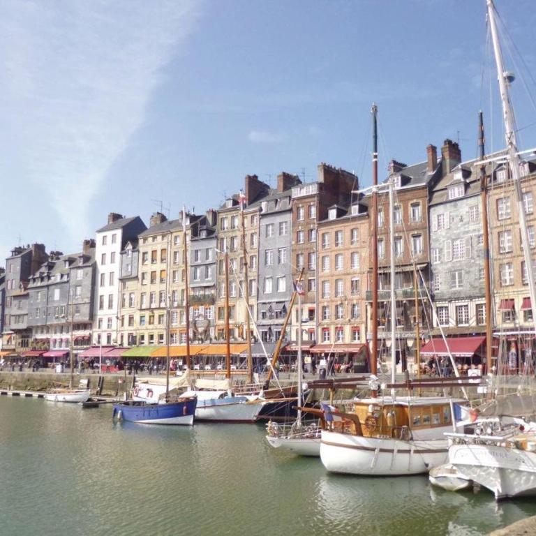 Les Fontaines Saint Leonard - Appartement - 19