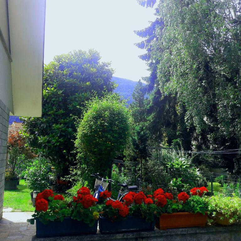Casa Vacanze Santa Perpetua - Ferienhaus - 32